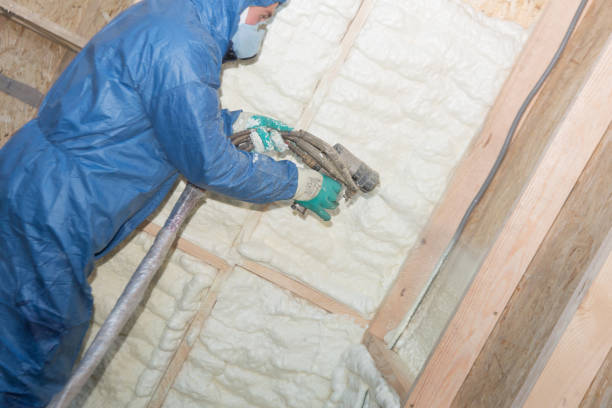 Types of Insulation We Offer in Florence Graham, CA